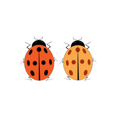 Fototapeta premium Ladybird two isolated
