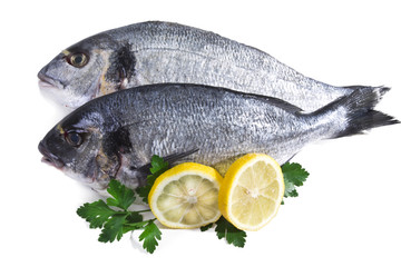 Fish, isolated twig with lemon and parsley