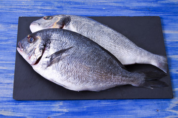 Fish, twig on blackboard on blue wooden background