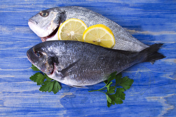Fish, twig on blackboard on blue wooden background