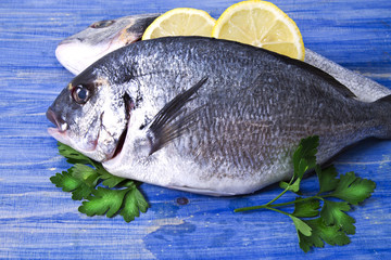 Fish, twig on blackboard on blue wooden background
