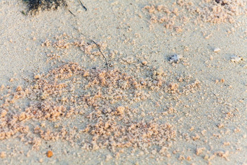 Close up of sand texture for background