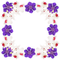 Fototapeta na wymiar Beautiful floral background with orchids and clematis 