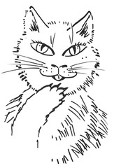 Obraz premium cat - hand drawn illustration