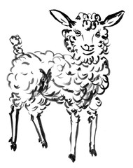 sheep - watercolor illustration