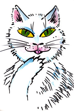 white cat - watercolor illustration