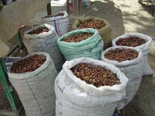 Egypte, Oasis de Bahariya 