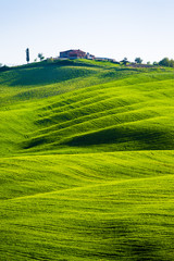 Tuscany, italian landscape