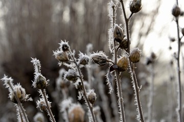 D&eacute;couverte de la Ni&egrave;vre