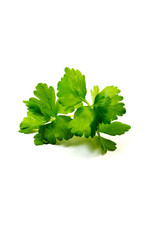 Petersilie isoliert auf weiß