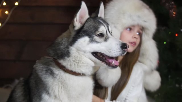 Close-up of a little girl petting a husky dog