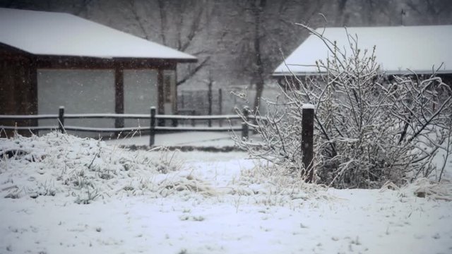 View of buildings  fences  and trees being covered by heavy snow during a snowstorm.