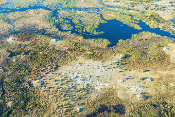 Okavango delta (or Okavango Grassland) is one of the Seven Natural Wonders of Africa (view from the...
