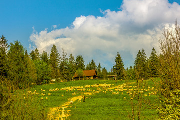 Fototapety na wymiar - Fototapeta24.pl