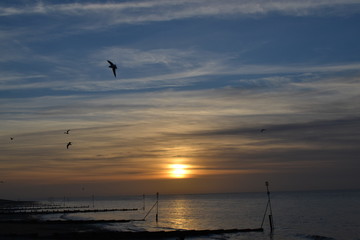 Fototapeta na wymiar sunset coast 