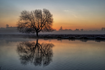 Fototapeta na wymiar Before dawn at the Leg of Mutton Pond Bushy Park, UK