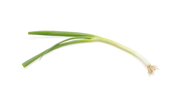 scallions, or green onions, spring onions on white background