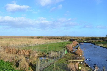 lake marsh land 