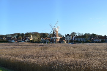 Fototapeta premium windmill and wheat field 