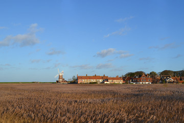 Fototapeta premium windmilll and wheat field