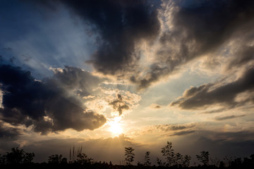 Fototapeta na wymiar Tree silhouette with sunset sky background