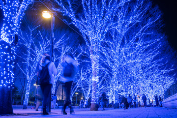 Illuminated street at Yoyogi Park in Tokyo　青の洞窟 2016