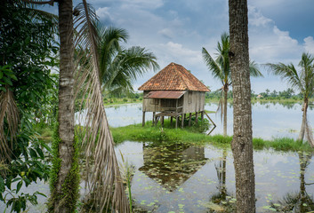 Domek nad jeziorem