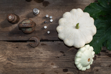 ripe pumpkin, food for sale, small business, agriculture,