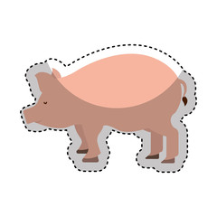 pork meat butchery icon vector illustration design