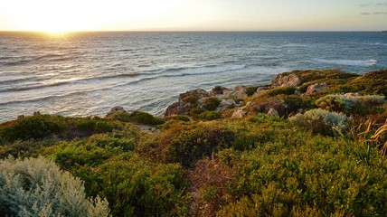 Naklejka premium The Sunset Coast drive north of Perth along the Indian Ocean in Western Australia