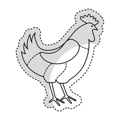 chicken meat butchery icon vector illustration design