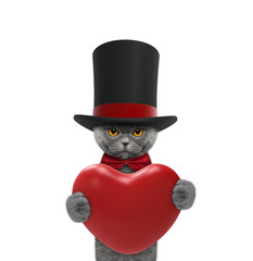 cute cat in a hat holding a heart
