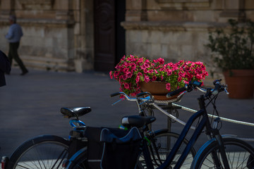 Fototapeta na wymiar Tourist bike with flowers in the backround