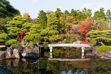 Japanese garden in autumn season