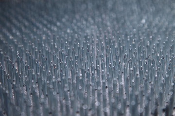 carpet of nails/ carpet of nails