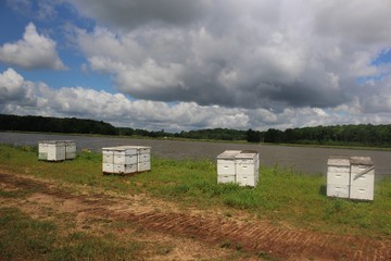 Landscape and farmland