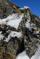 Ghiaccio creato dal vento sui fili di erba secca in alta montagna, dopo una fredda tempesta di neve e vento, Passo del Sempione, Svizzera