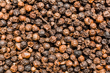 background black pepper
