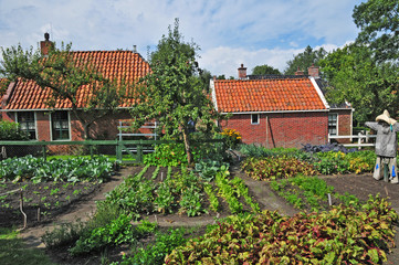 Fototapeta na wymiar Enkhuizen, Olanda - Paesi Bassi, fattorie con orti