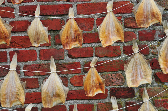 Enkhuizen, Olanda - Paesi Bassi, aringhe ad essiccare