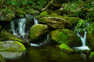 Cascading Stream in the Great Smoky Mountains