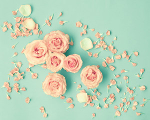 Pink roses and petals over mint background