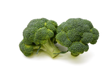 fresh broccoli on the white background