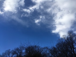 Fototapeta na wymiar December blue sky after rainstorm