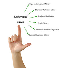 Diagram of Background Check