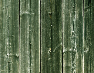 Weathered green wooden fence texture with nails.