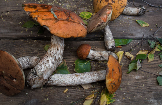 Wild mushrooms on a wooden table, orange fungus, food for sale, small business, agriculture,