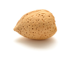 Almonds in shell isolated on white background