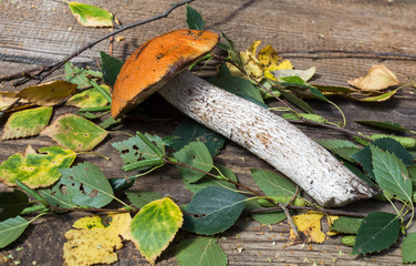 Wild mushrooms on a wooden table, orange fungus, food for sale, small business, agriculture,