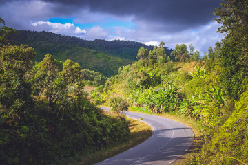 Road in tropics